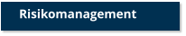 Risikomanagement
